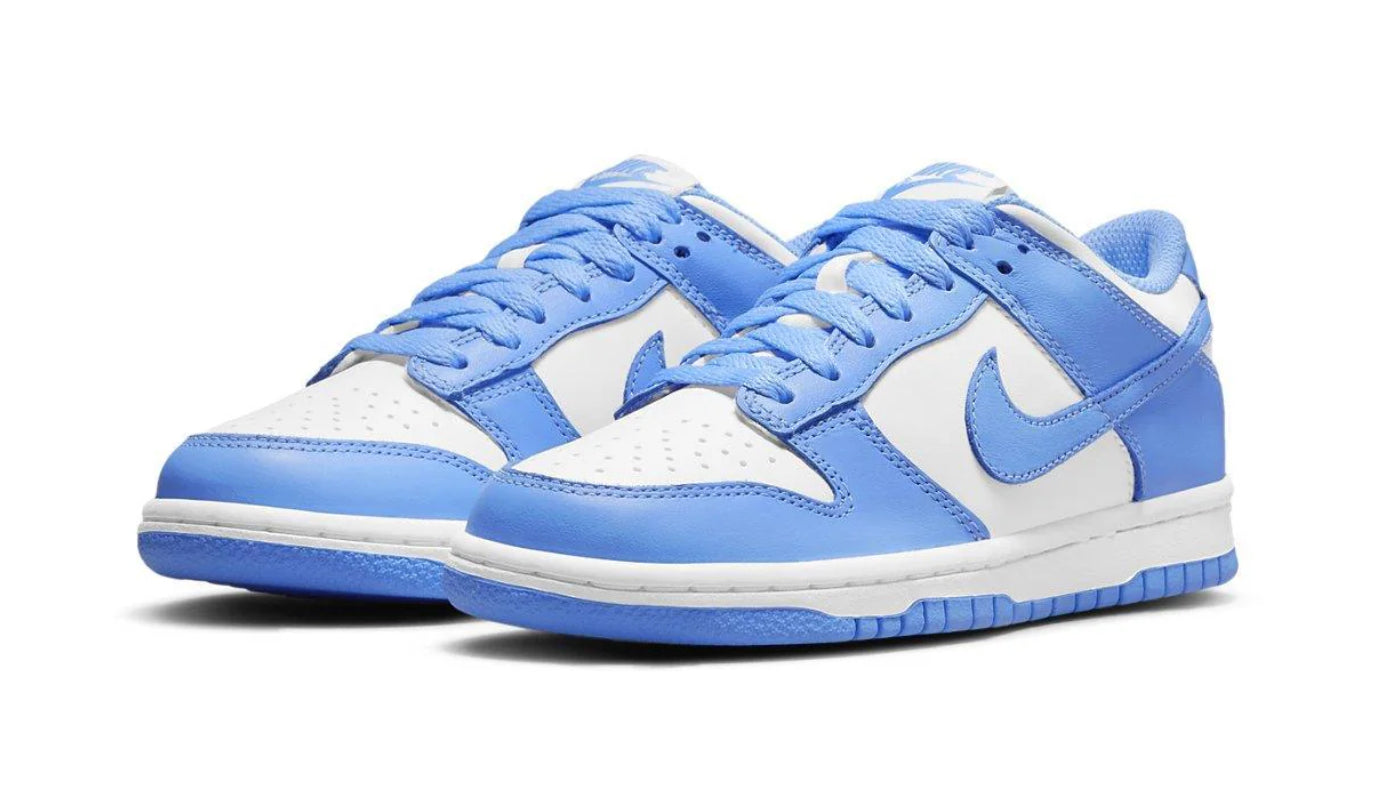 Nike Dunk Low UNC (GS)